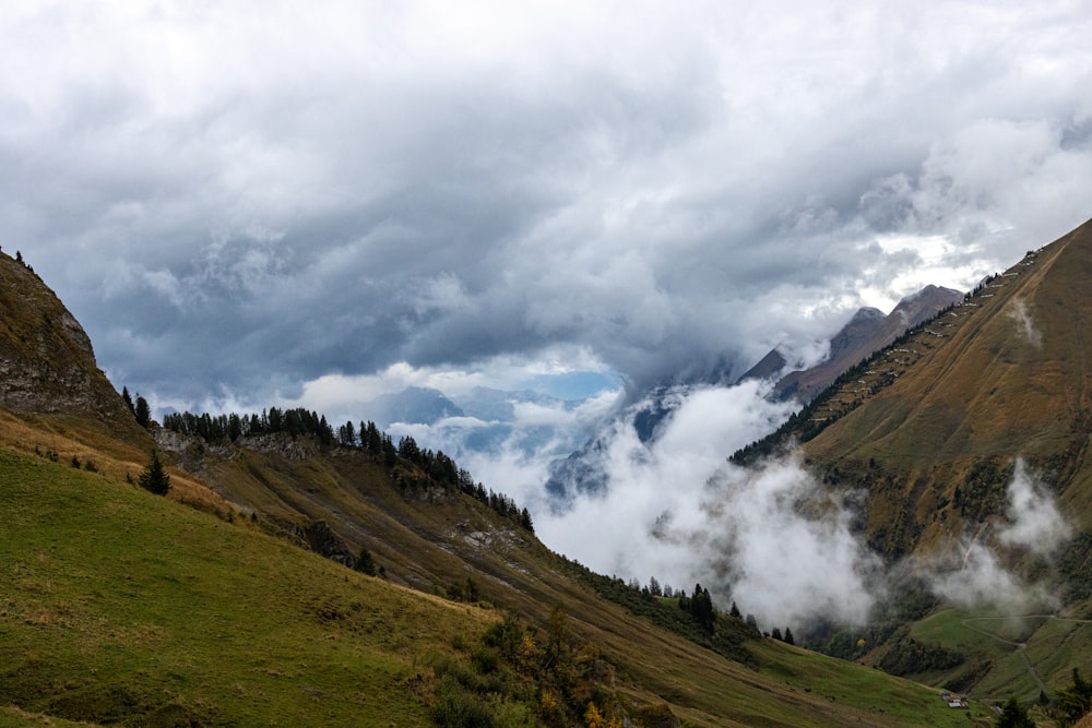 a view of a valley with mountains in the background