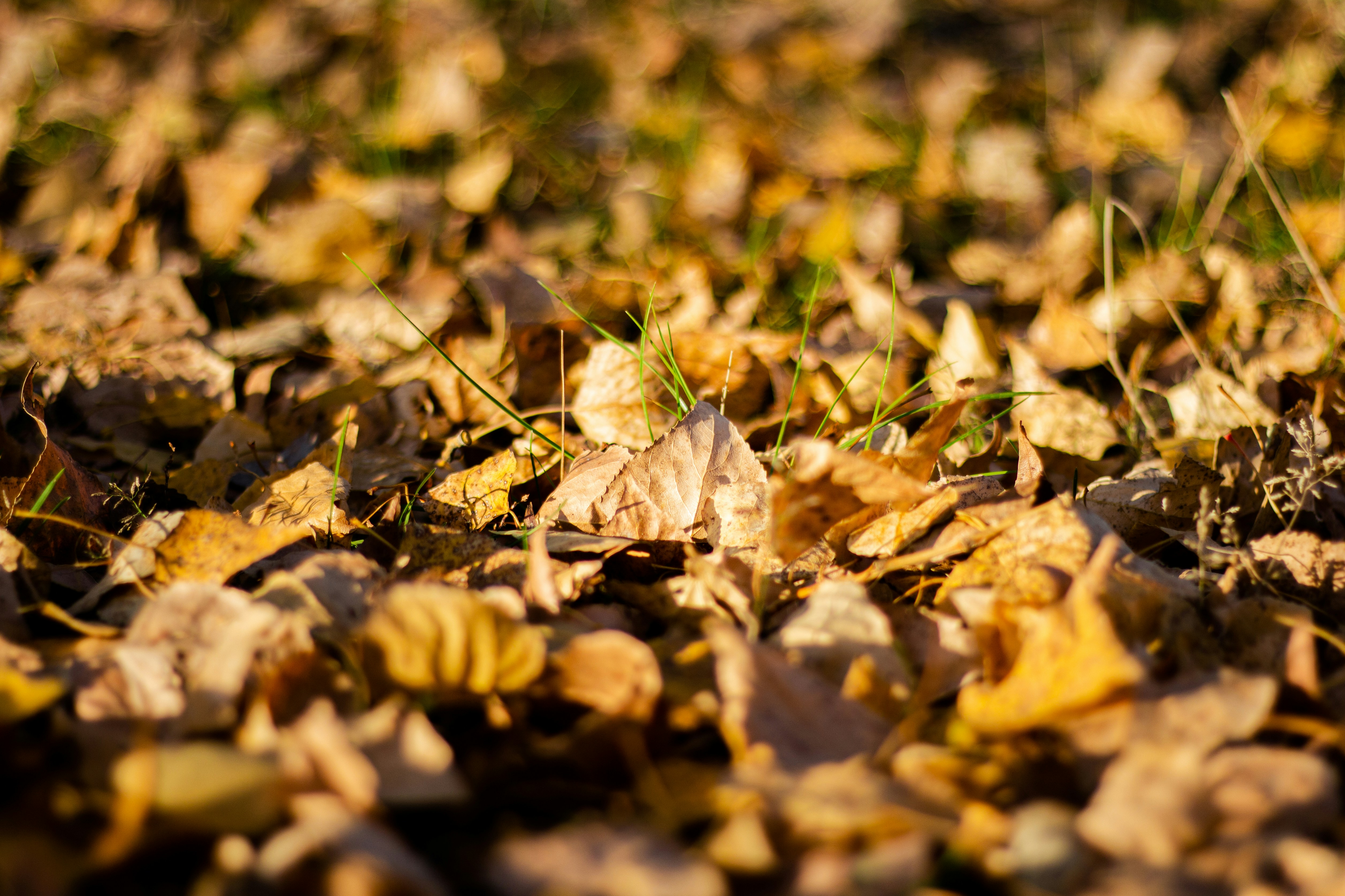 Photo by alexmartisca