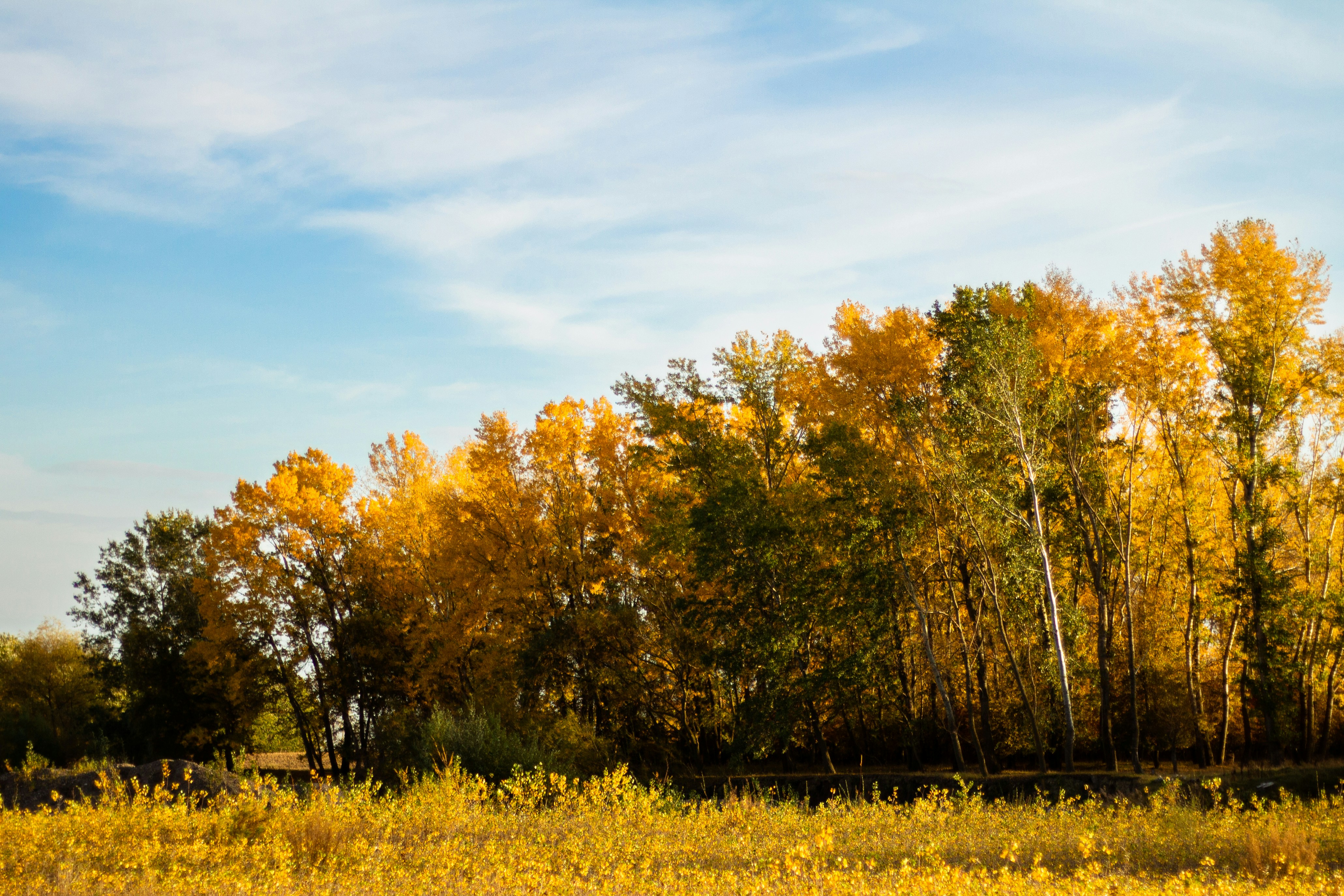 Photo by alexmartisca