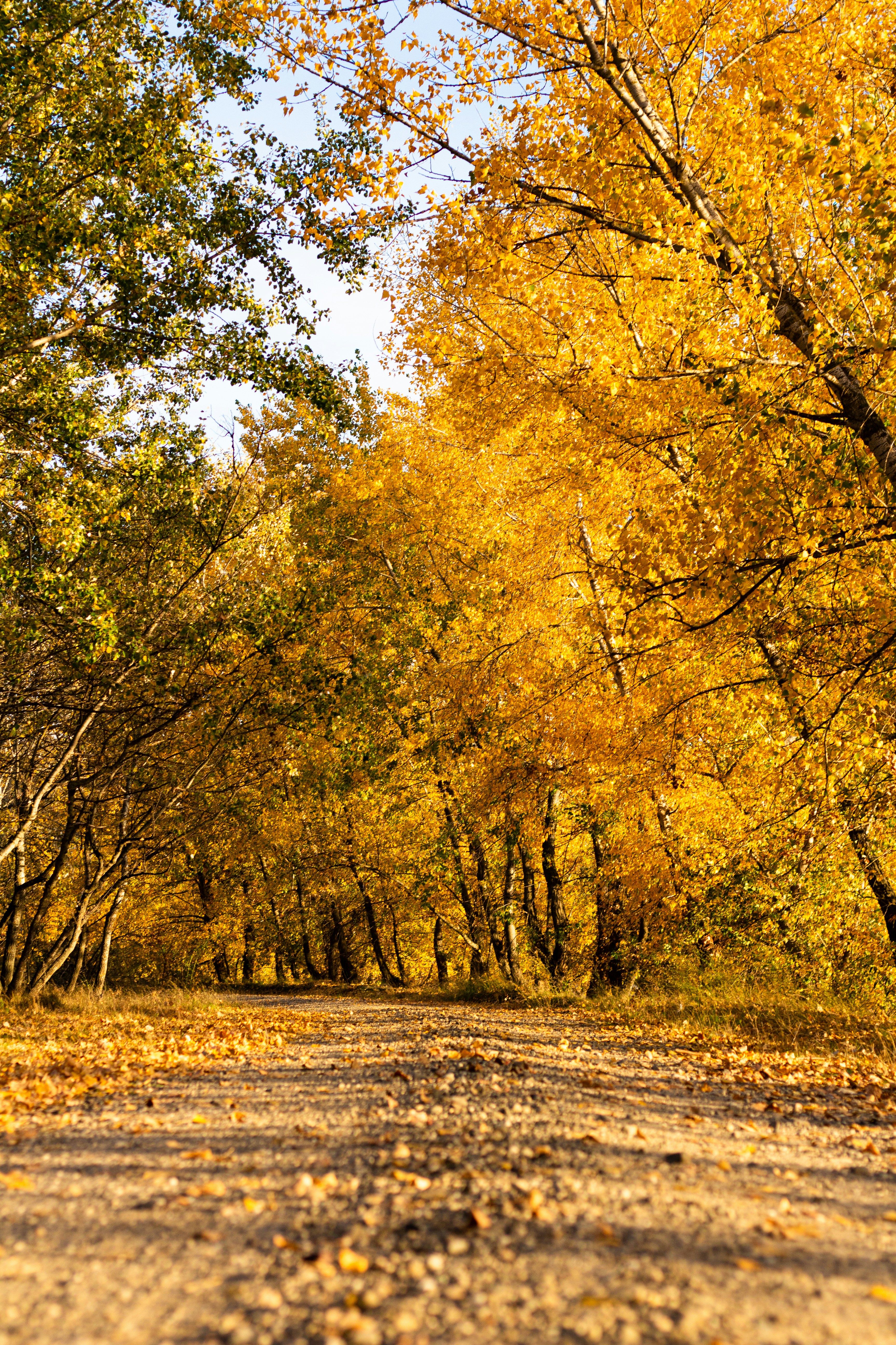 Photo by alexmartisca