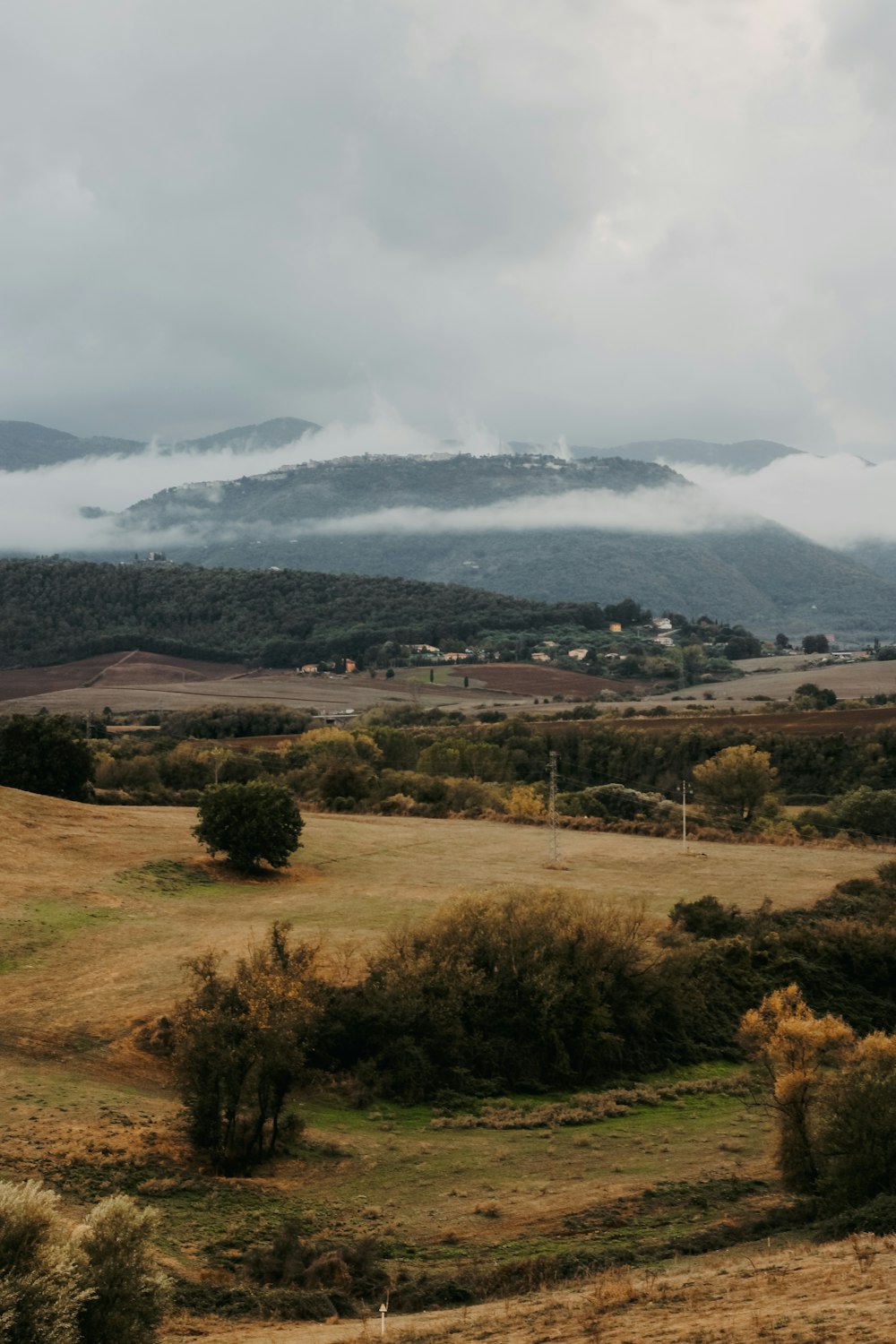 a field with trees and mountains in the background