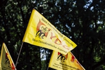 Yellow flags with text in multiple languages featuring a logo with a silhouette, against a backdrop of dark green trees.