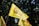 Yellow flags with text in multiple languages featuring a logo with a silhouette, against a backdrop of dark green trees.