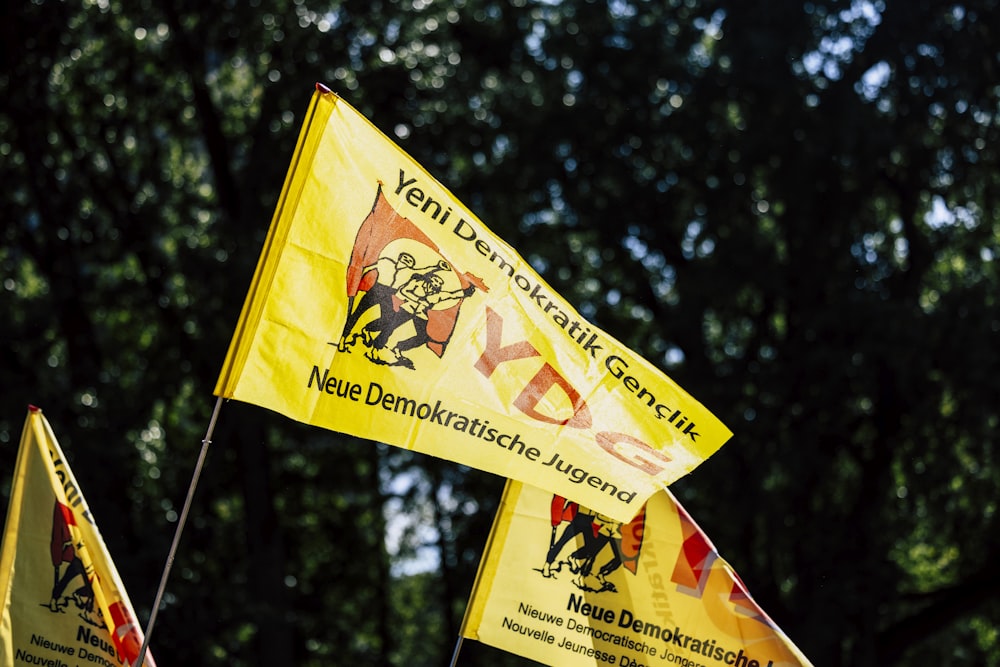 a group of flags that are next to each other