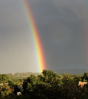 A rainbow arching over a green meadow in the Starnberg district after a rain shower.
