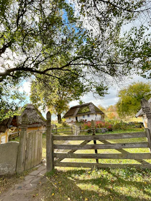 A cozy wooden cottage wrapped in climbing vines and blooming flowers.