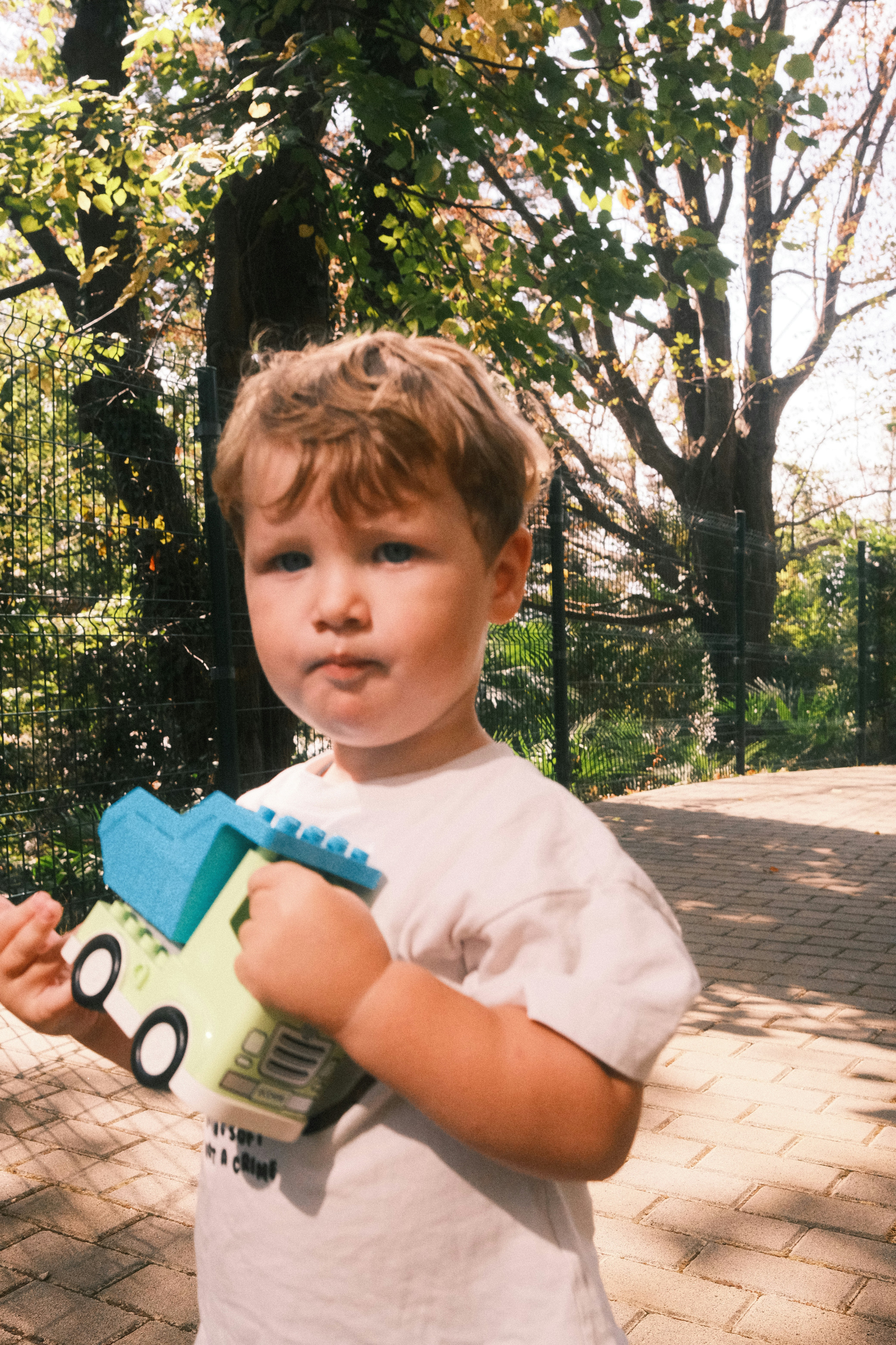 Cody's Daily Moments