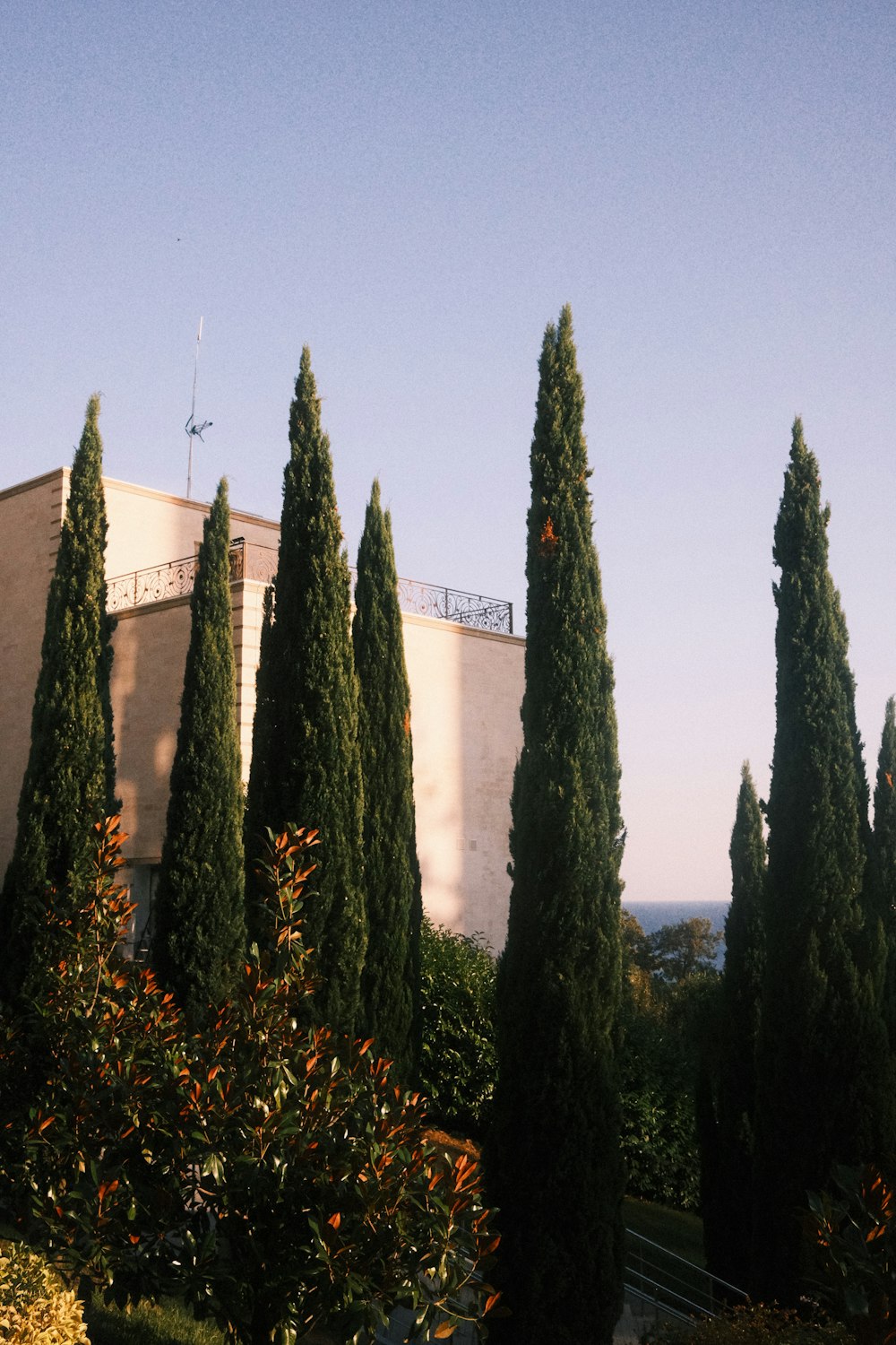 una fila di alberi di fronte a un edificio