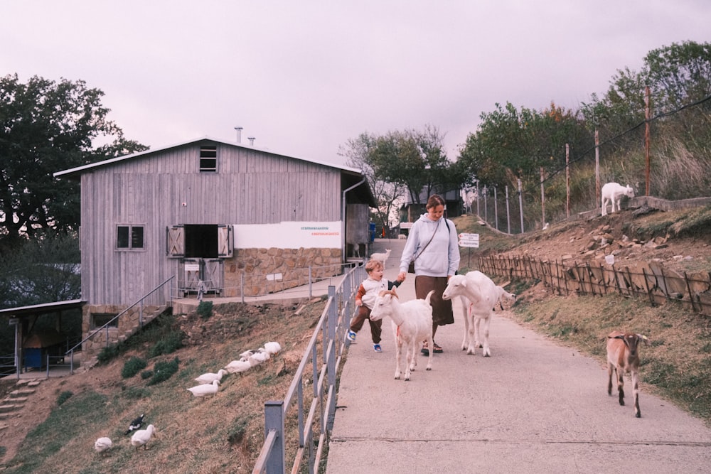 a woman is walking with two dogs and two horses