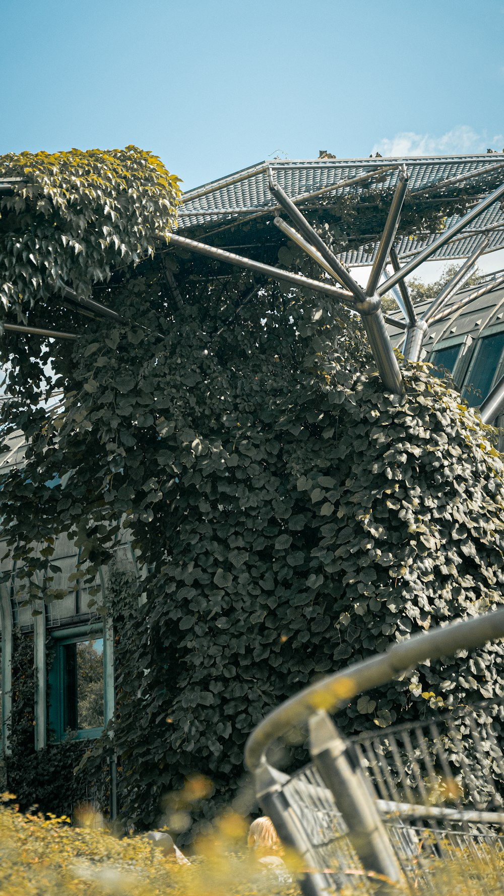 a building made out of rocks and vines