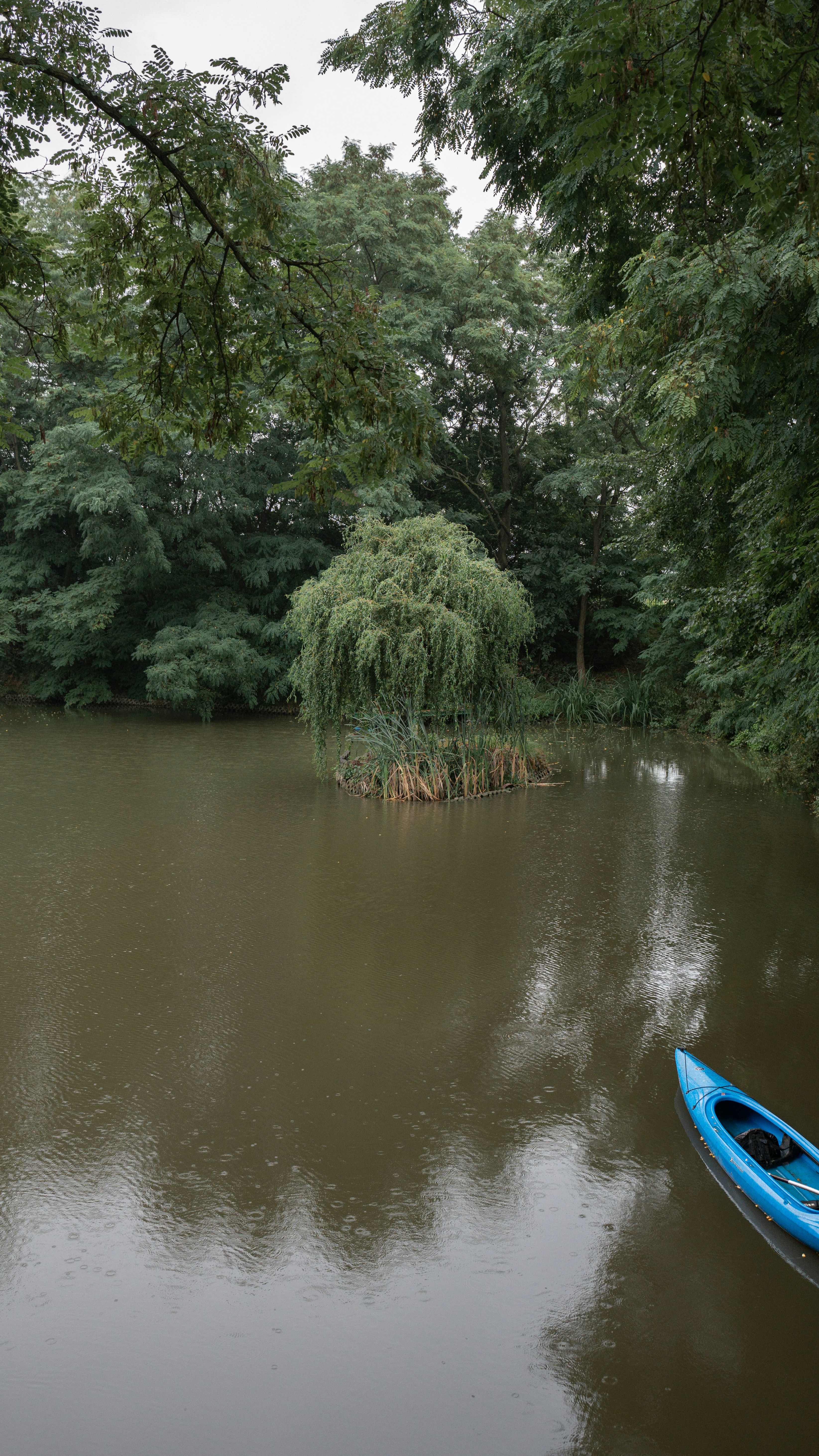 a blue boat floating on top of a river next to a lush green forest
