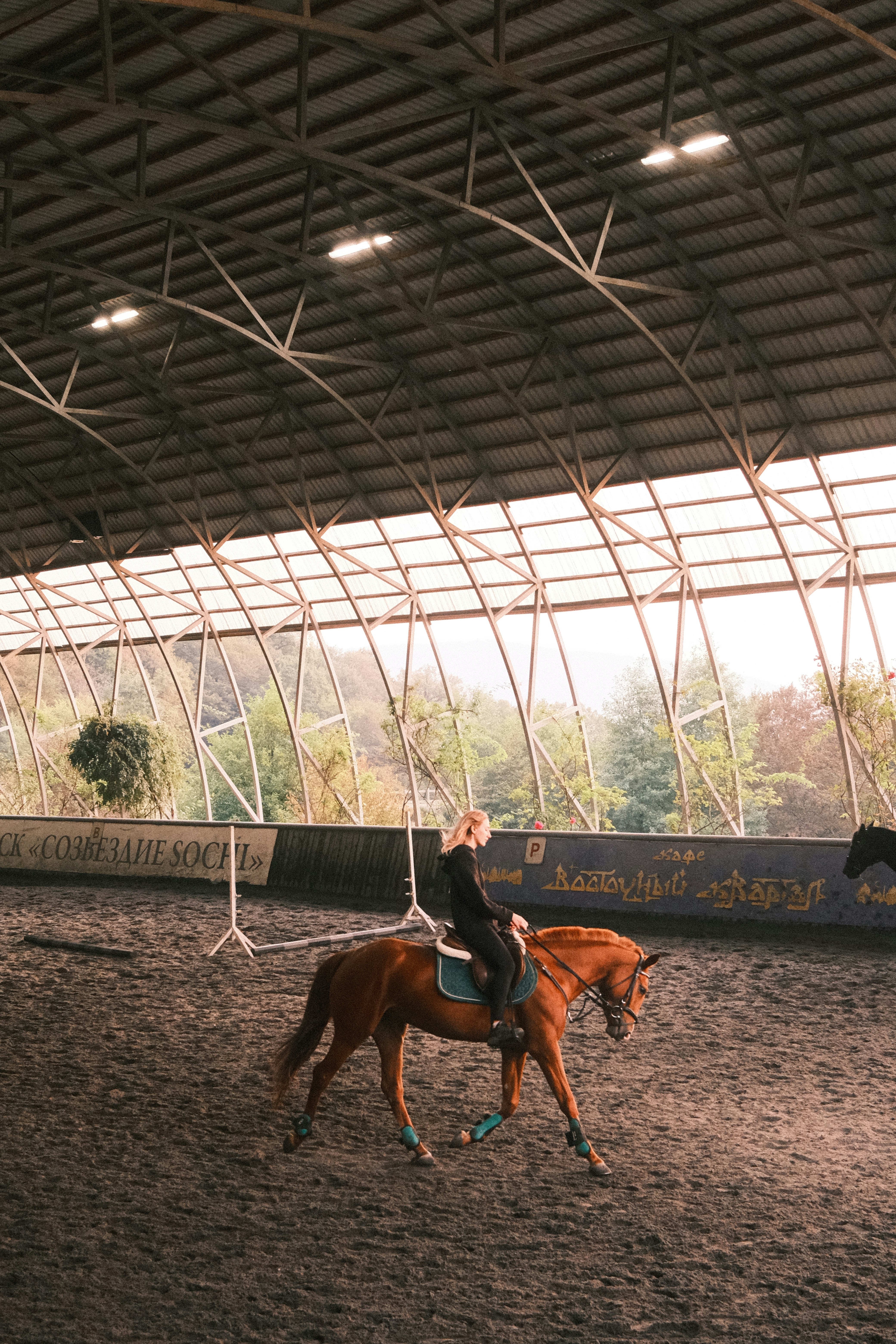 Flatwork Exercises for You and Your Horse