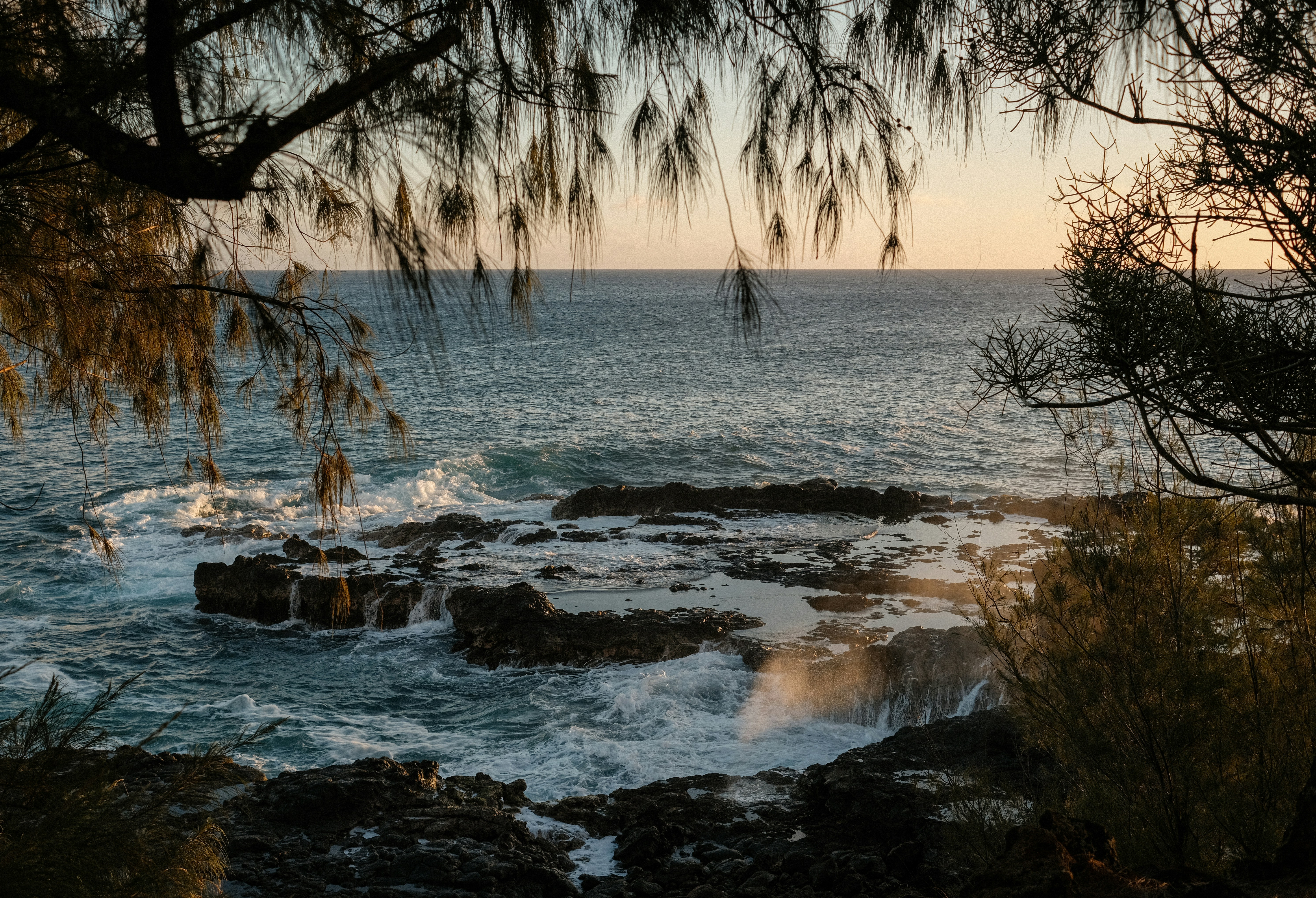 a body of water surrounded by trees and rocks