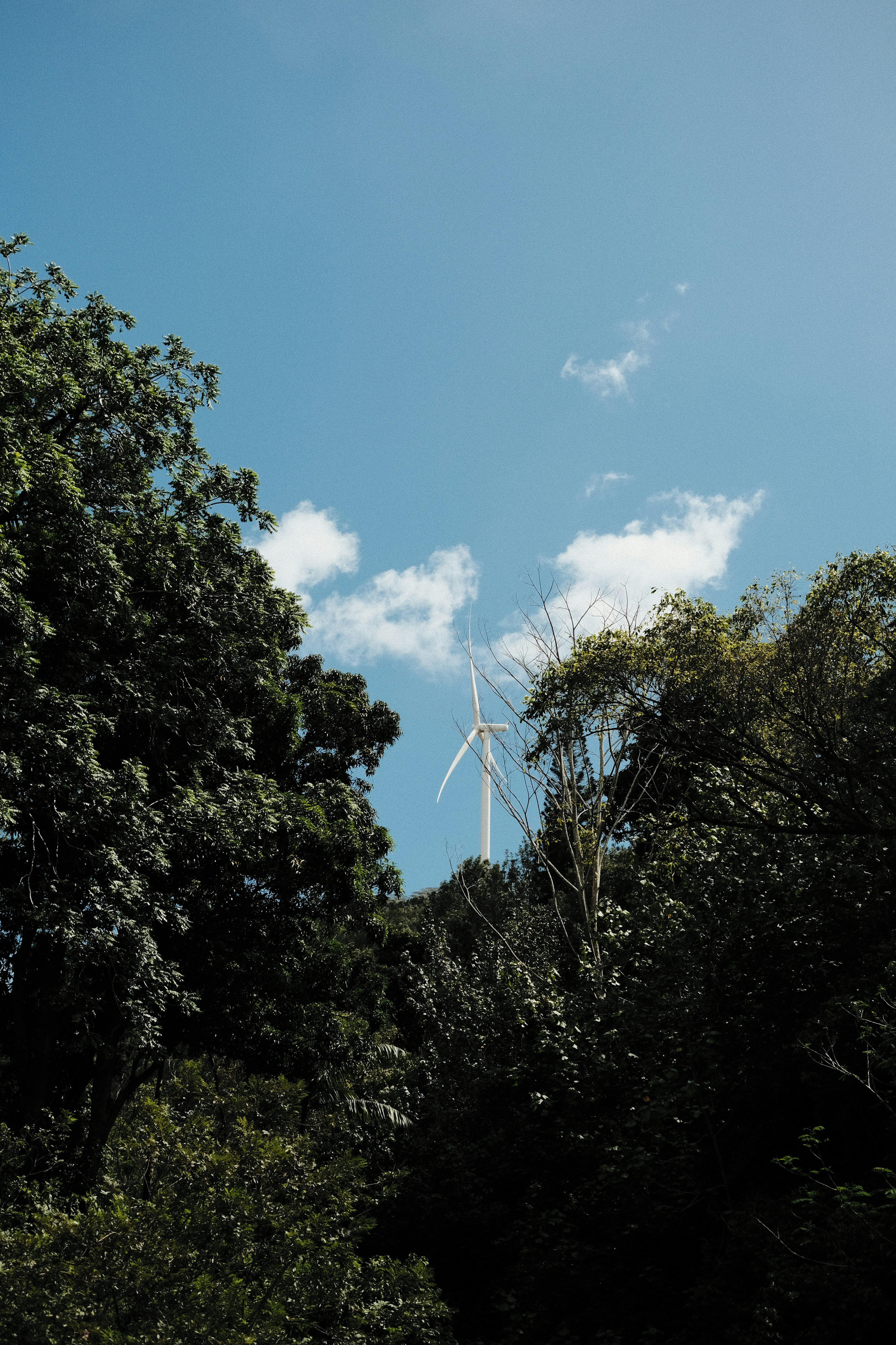 a wind turbine in the middle of a forest
