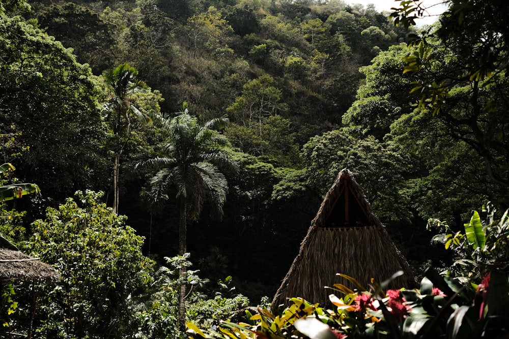 Una cabaña en medio de un bosque