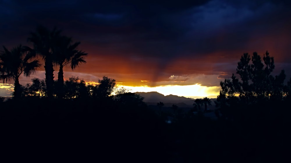 a sunset with palm trees and mountains in the background