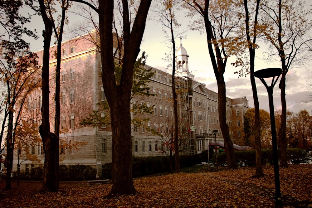 un grande edificio circondato da alberi e foglie