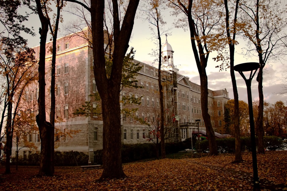 a large building surrounded by trees and leaves