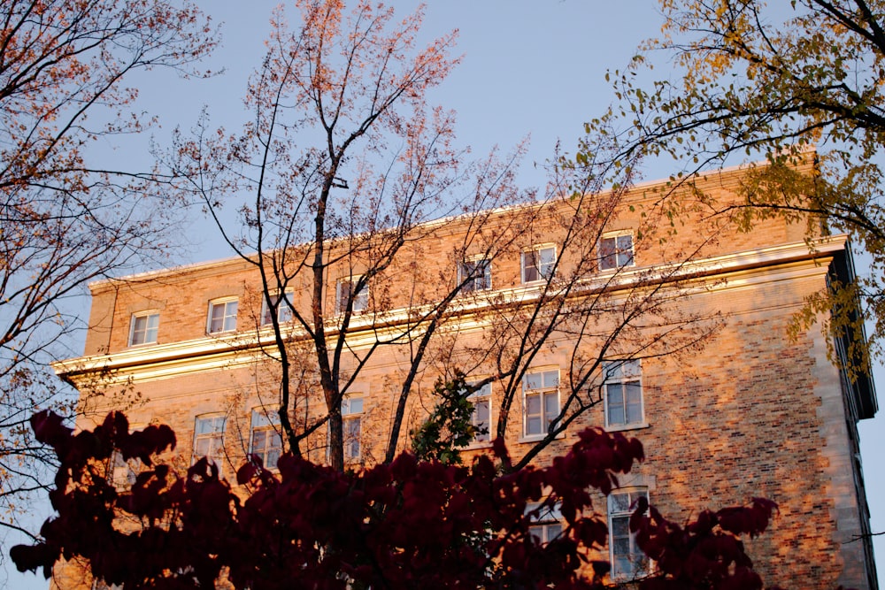 a tall brick building with lots of windows