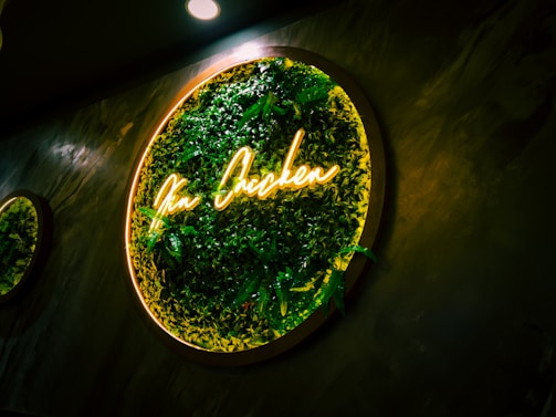 An inviting storefront sign of chuckin chicken llc glowing warmly at dusk.