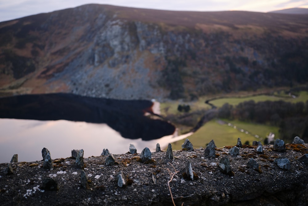 a bunch of rocks sitting on top of a stone wall