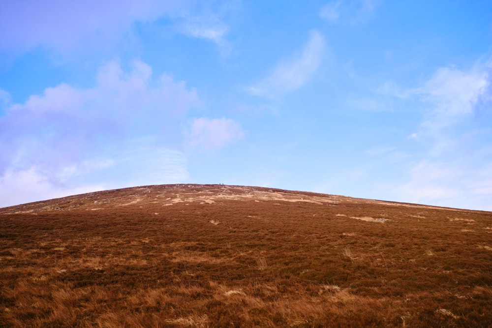 a grassy hill with a blue sky in the background