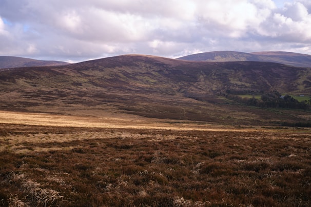 Expansive rolling hills covered with a mix of brown and green vegetation, under a sky filled with scattered clouds. The landscape is vast and open, suggesting a natural, untouched environment.