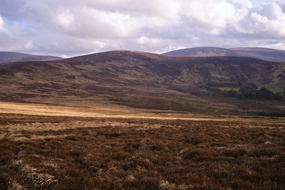 a grassy field with mountains in the background