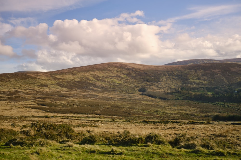 a grassy field with hills in the background