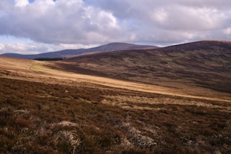 A wide expanse of rolling hills covered in grasses and heather with varying shades of brown, green, and gold. The horizon showcases a range of distant mountains under a cloudy sky, providing a sense of vastness and tranquility.