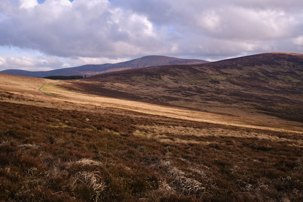 A wide expanse of rolling hills covered in grasses and heather with varying shades of brown, green, and gold. The horizon showcases a range of distant mountains under a cloudy sky, providing a sense of vastness and tranquility.