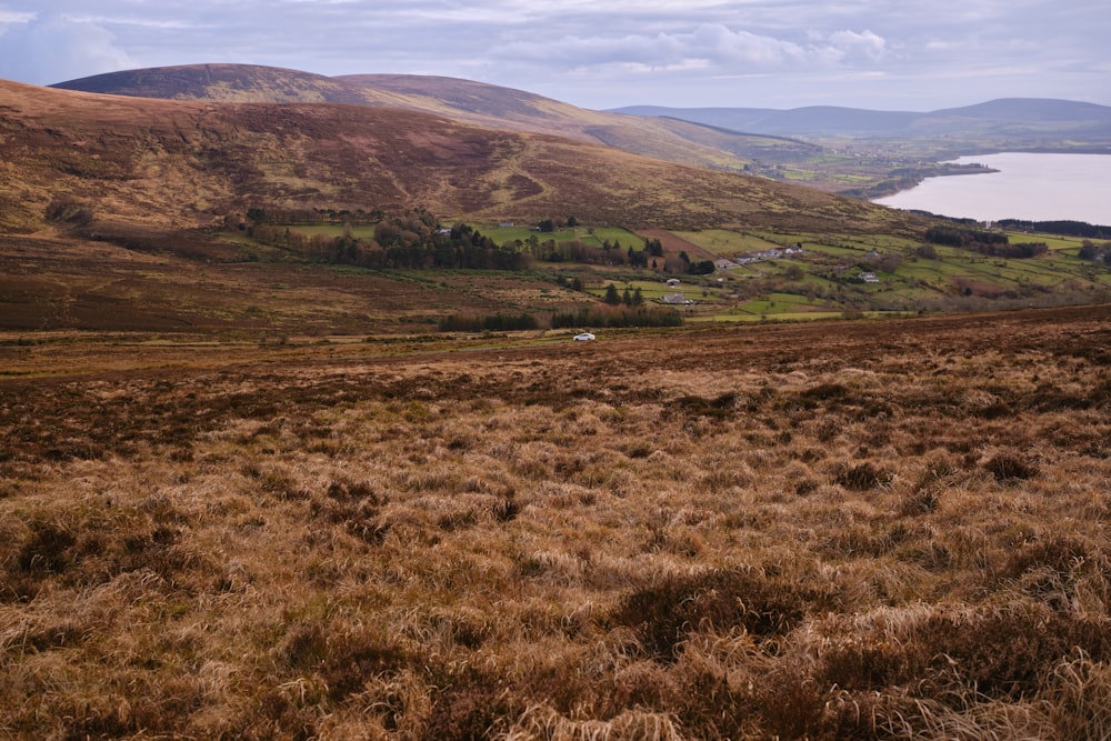 a view of a grassy field with a lake in the distance