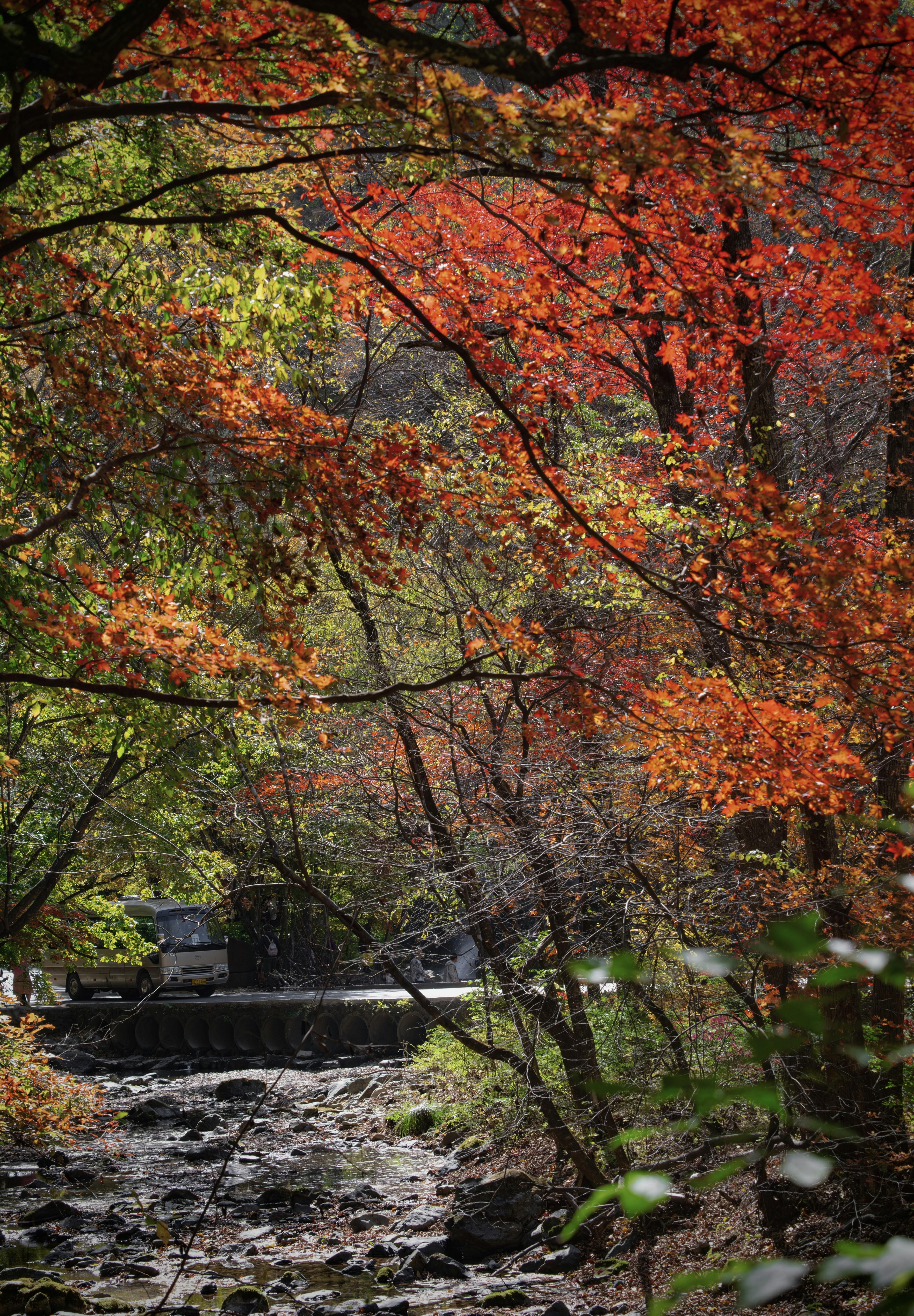 Photo by hattrick1996