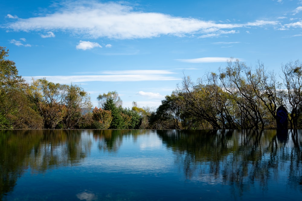 a body of water surrounded by trees under a blue sky