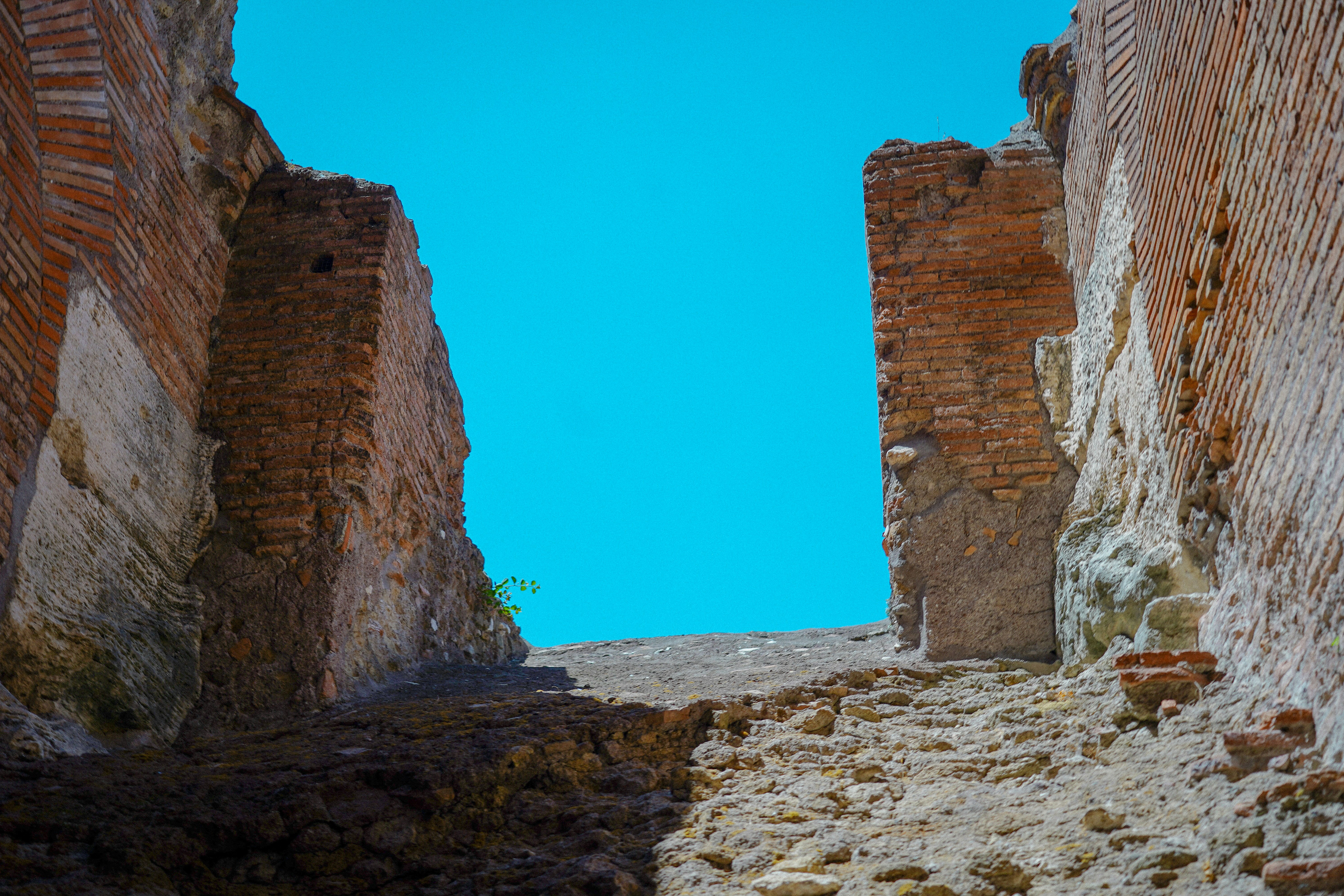 Photo by marcosllerena