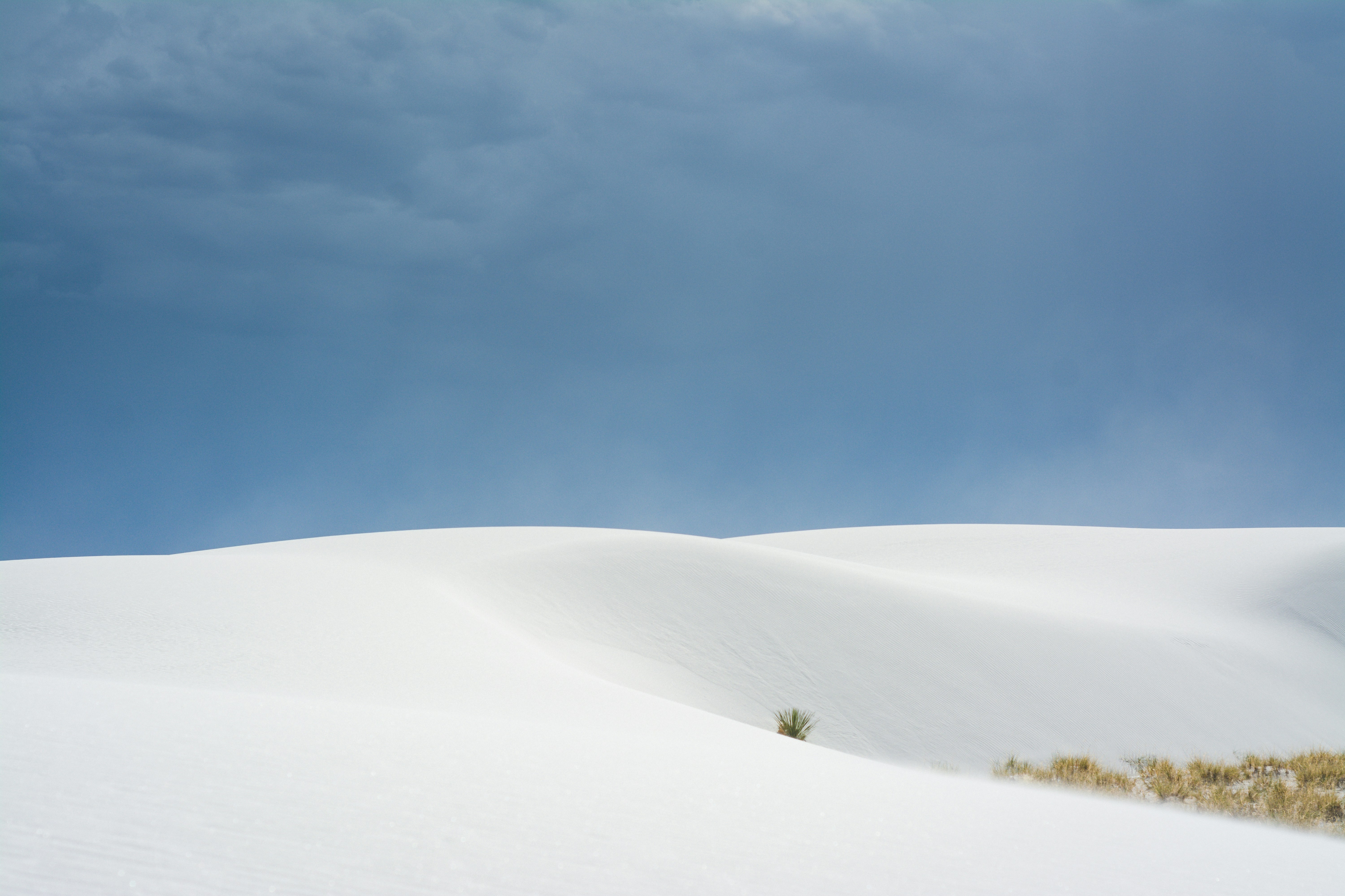 Photo by samkushnerchuk