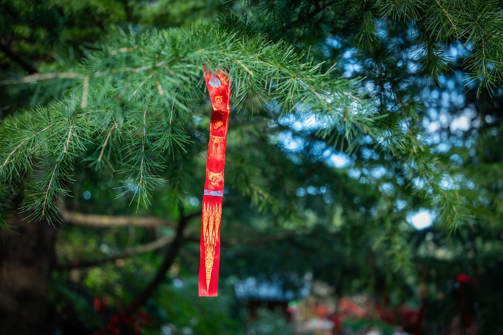 a red ribbon hanging from a pine tree