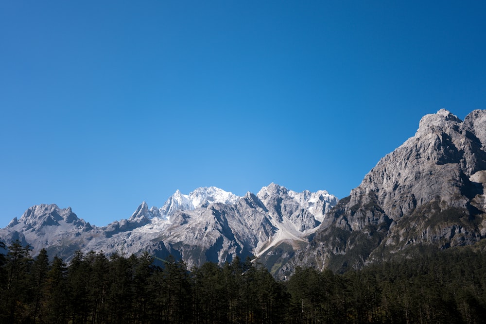 a view of a mountain range with trees in the foreground