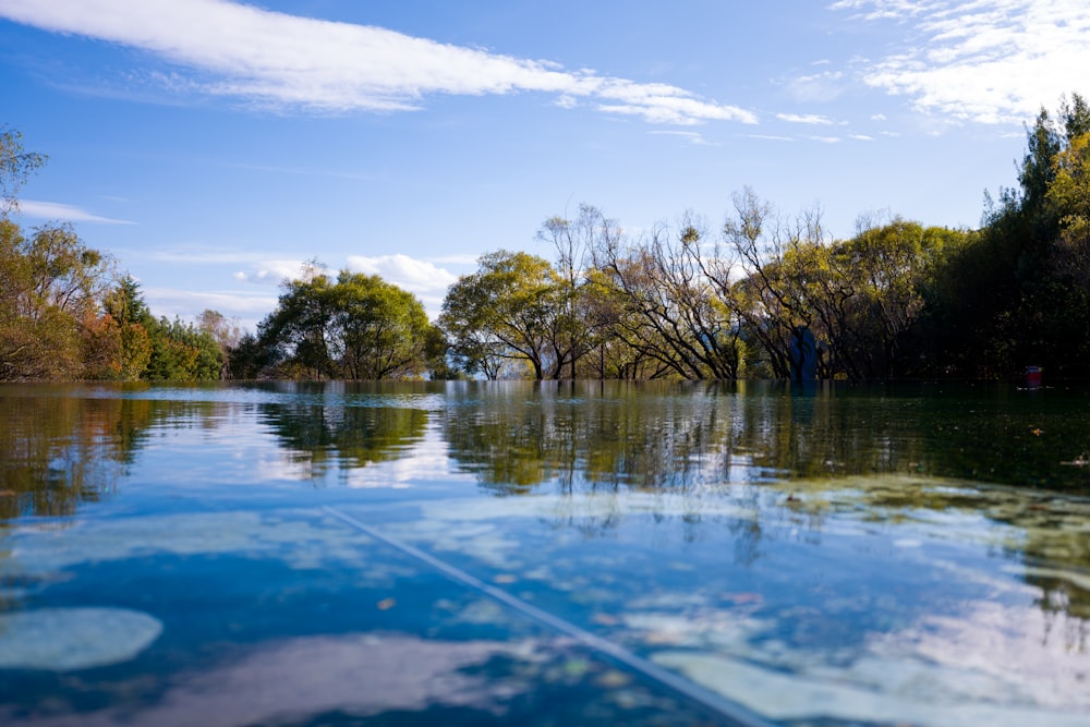 a body of water with trees in the background