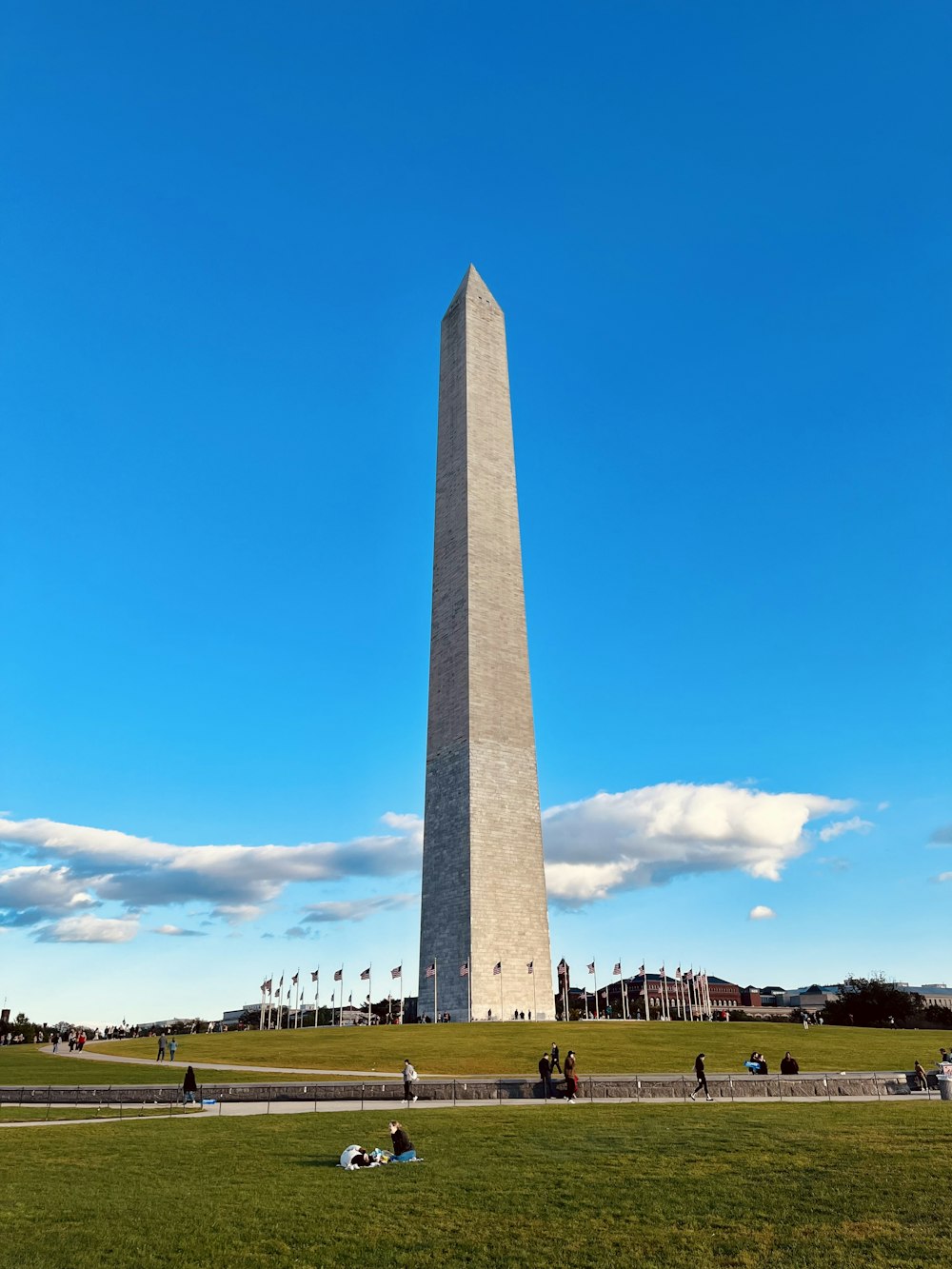 O Monumento de Washington em Washington DC com pessoas deitadas na grama