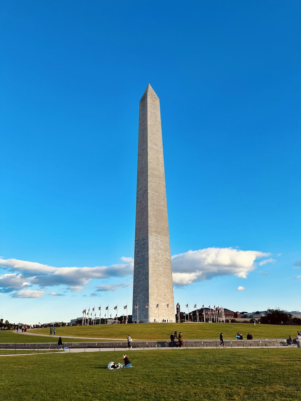 the washington monument in washington dc with people laying on the grass