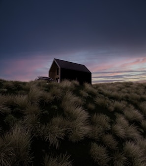 Exterior view of a sleek, minimal house surrounded by soft landscaping at sunset.