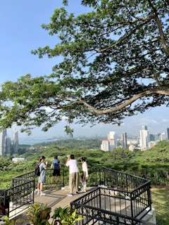 A group of five people are standing on an elevated viewing platform surrounded by a black railing. They are looking out over a lush green landscape with tall trees and dense foliage. In the background, there are modern skyscrapers and buildings, a body of water, and a distant shore. Above, a large tree branch with green leaves extends across the top of the image.