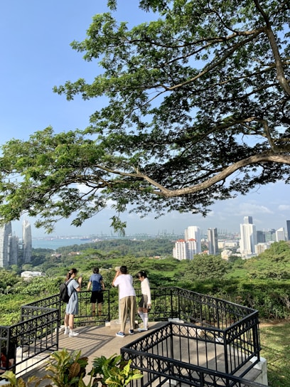 A group of five people are standing on an elevated viewing platform surrounded by a black railing. They are looking out over a lush green landscape with tall trees and dense foliage. In the background, there are modern skyscrapers and buildings, a body of water, and a distant shore. Above, a large tree branch with green leaves extends across the top of the image.
