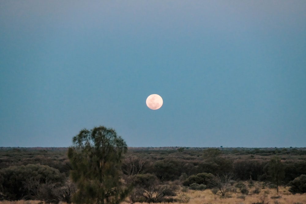 Una luna llena se ve a lo lejos sobre un paisaje desértico