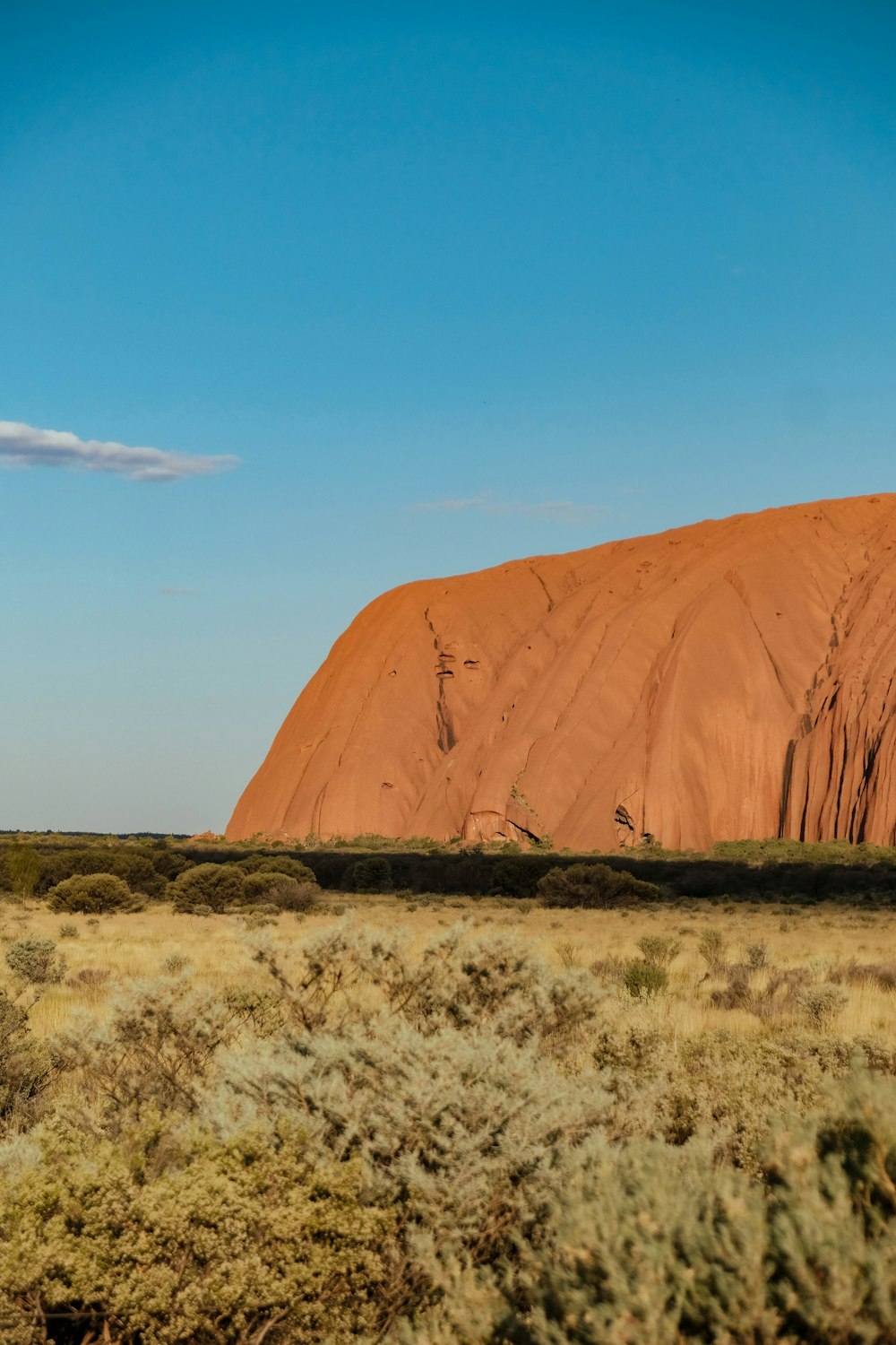 a large rock in the middle of a field