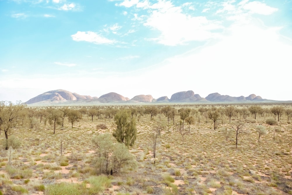 Un paysage désertique avec des montagnes au loin
