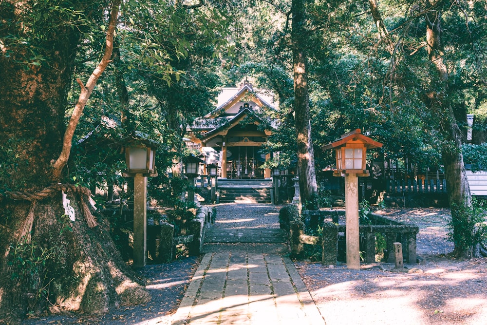 a pathway leading to a small wooden building