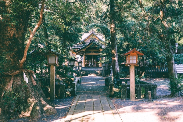 Discover Iki: A Tranquil Island Getaway