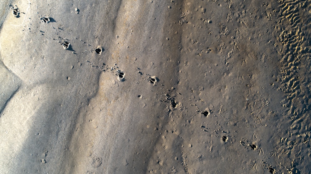 footprints in the sand on a beach